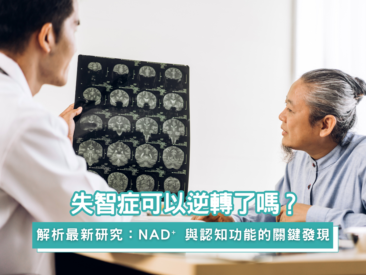 失智症可以逆轉了嗎？2026 阿茲海默症最新研究：NAD⁺ 與腦部能量的關鍵發現｜藥師專業解析